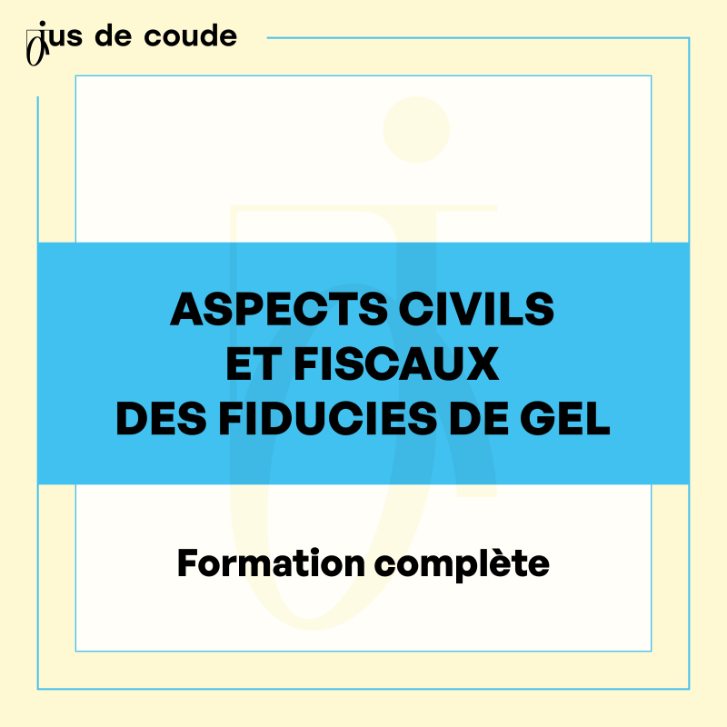 1 - Aspects civils et fiscaux des fiducies de gel