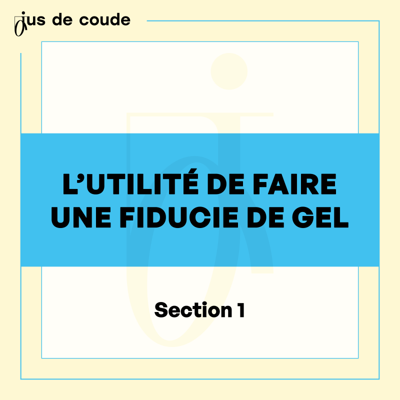 2 - L'utilité de faire une fiducie de gel